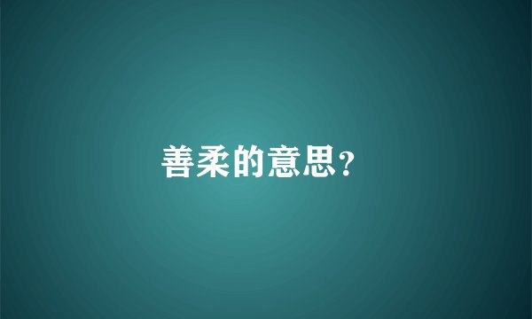 善柔的意思？
