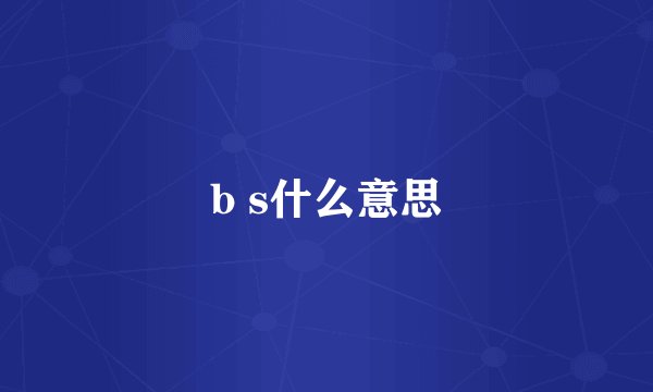 b s什么意思