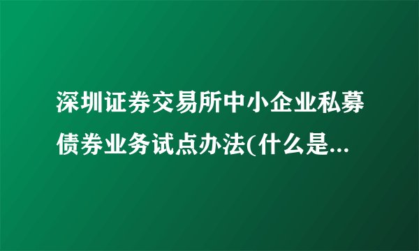 深圳证券交易所中小企业私募债券业务试点办法(什么是私募债券)