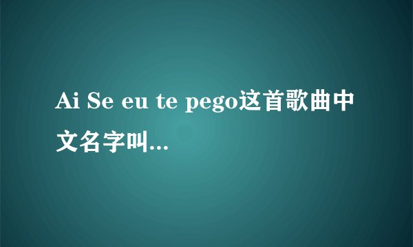 Ai Se eu te pego这首歌曲中文名字叫什么，还有歌词~~！