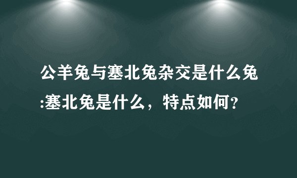 公羊兔与塞北兔杂交是什么兔:塞北兔是什么，特点如何？
