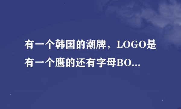 有一个韩国的潮牌，LOGO是有一个鹰的还有字母BOY，请问是什么品牌，我看一个韩国明星穿过，超级好