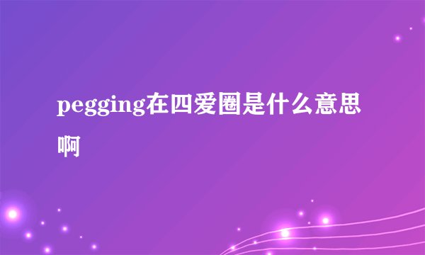 pegging在四爱圈是什么意思啊