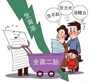 人大代表建议第三孩高考加10至20分，若实施此建议是否能提高生育率？