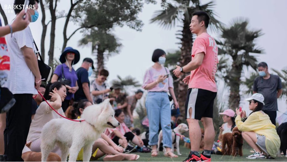 武汉哪有宠物训练学校或基地？10月份开课吗？