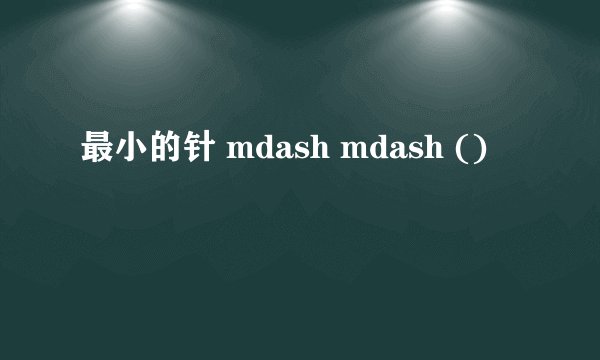 最小的针 mdash mdash ()