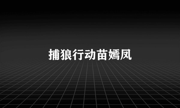 捕狼行动苗嫣凤