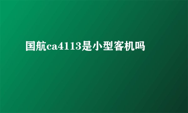 国航ca4113是小型客机吗