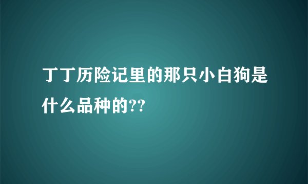 丁丁历险记里的那只小白狗是什么品种的??