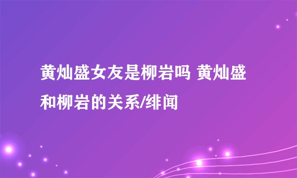 黄灿盛女友是柳岩吗 黄灿盛和柳岩的关系/绯闻