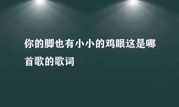 你的脚也有小小的鸡眼这是哪首歌的歌词