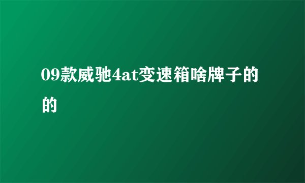 09款威驰4at变速箱啥牌子的的