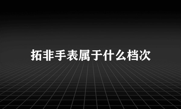 拓非手表属于什么档次
