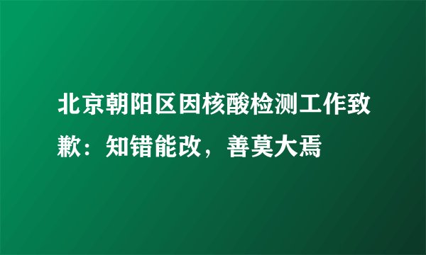北京朝阳区因核酸检测工作致歉：知错能改，善莫大焉