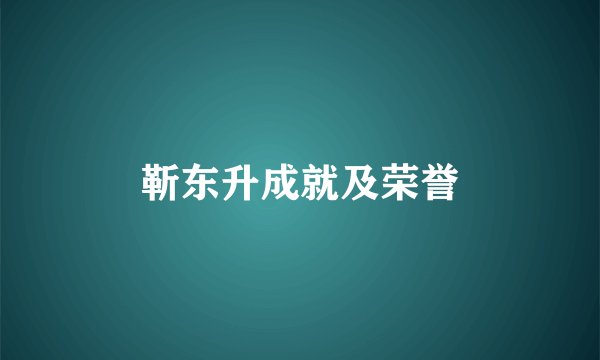 靳东升成就及荣誉