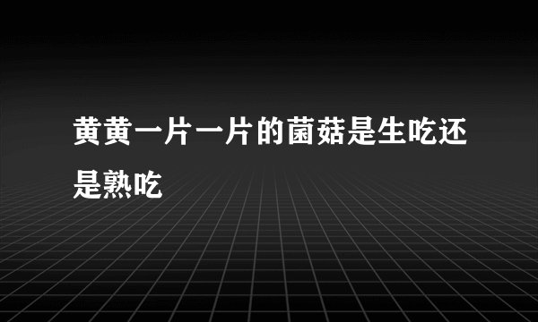 黄黄一片一片的菌菇是生吃还是熟吃