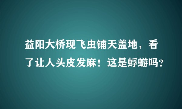 益阳大桥现飞虫铺天盖地，看了让人头皮发麻！这是蜉蝣吗？
