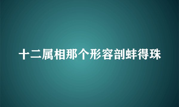 十二属相那个形容剖蚌得珠