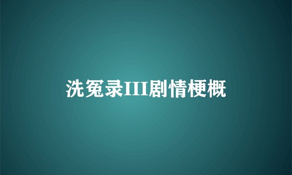 洗冤录III剧情梗概