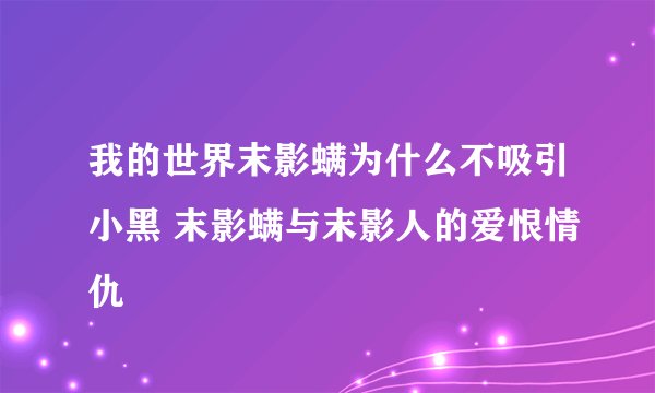 我的世界末影螨为什么不吸引小黑 末影螨与末影人的爱恨情仇