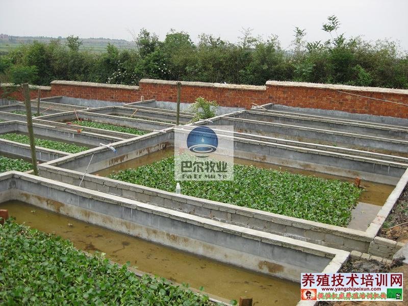 养殖巴巴网的介绍