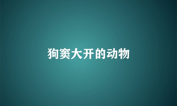 狗窦大开的动物