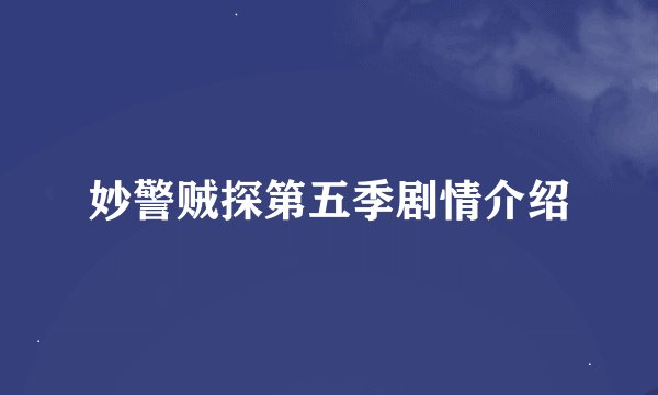 妙警贼探第五季剧情介绍