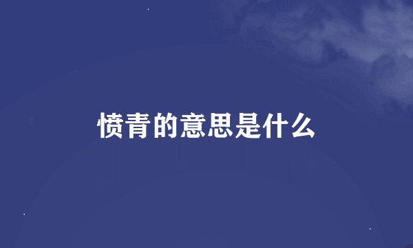 愤青的意思是什么