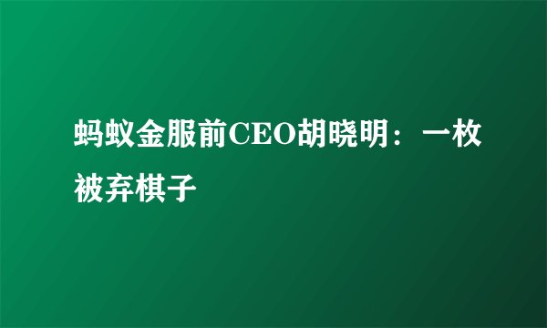 蚂蚁金服前CEO胡晓明：一枚被弃棋子