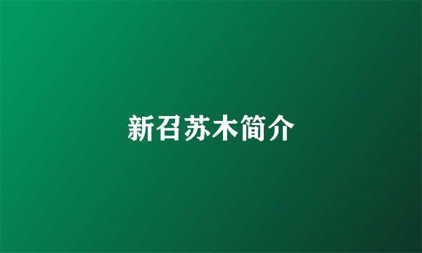 新召苏木简介