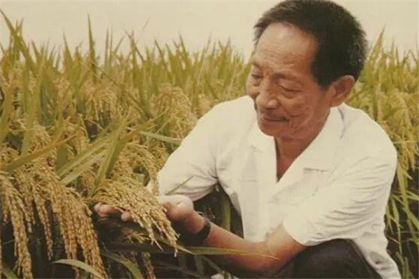 抖音回应袁隆平账号已注销，这些营销号终于被制止了吗？