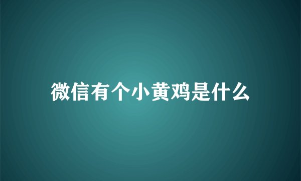 微信有个小黄鸡是什么