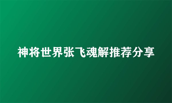 神将世界张飞魂解推荐分享