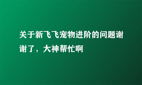 关于新飞飞宠物进阶的问题谢谢了，大神帮忙啊