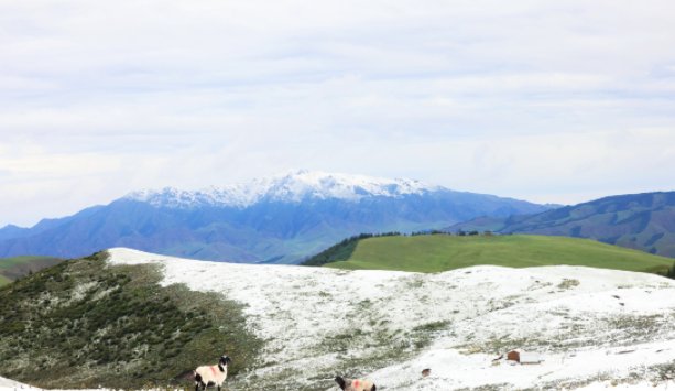 甘肃肃南七月飞雪,为什么天气一年比一年反常?