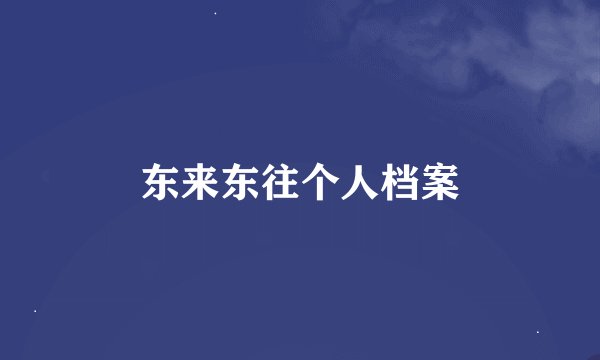 东来东往个人档案