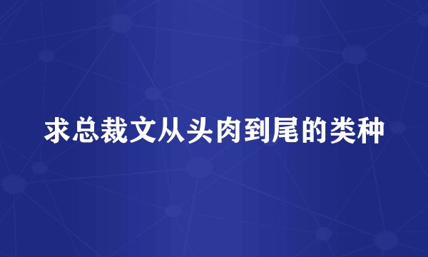 求总裁文从头肉到尾的类种