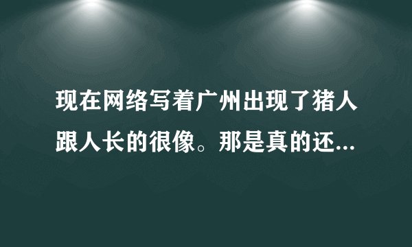 现在网络写着广州出现了猪人跟人长的很像。那是真的还是假的？