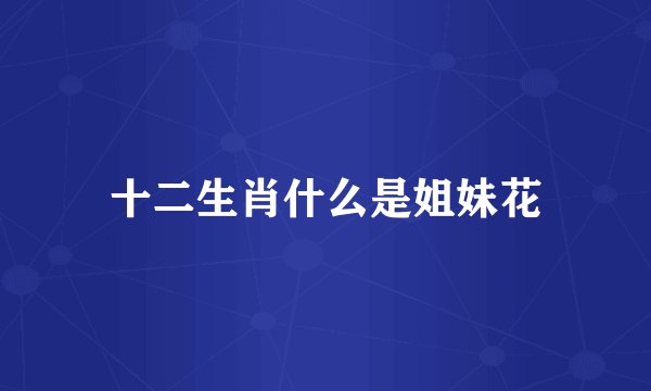 十二生肖什么是姐妹花