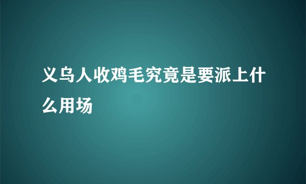 义乌人收鸡毛究竟是要派上什么用场