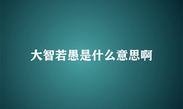 大智若愚是什么意思啊