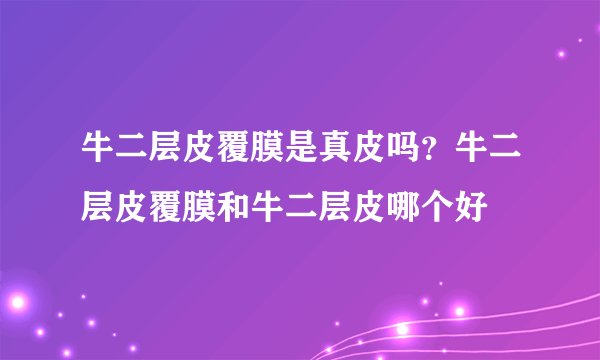 牛二层皮覆膜是真皮吗？牛二层皮覆膜和牛二层皮哪个好