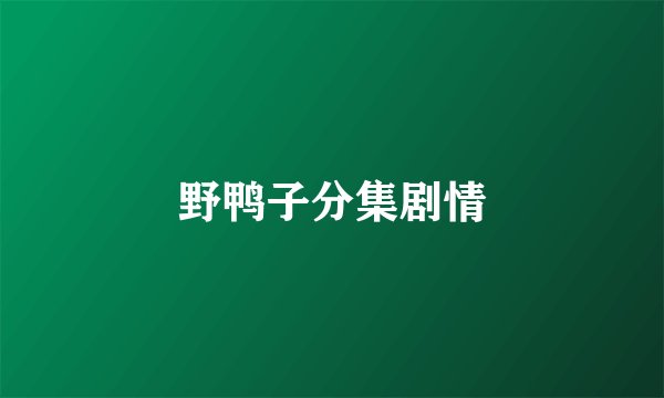 野鸭子分集剧情