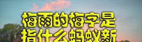 梅雨的梅字是指什么蚂蚁新村杨梅成熟之意12.21