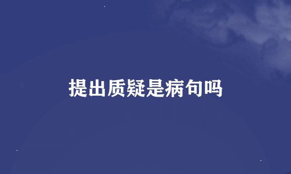 提出质疑是病句吗
