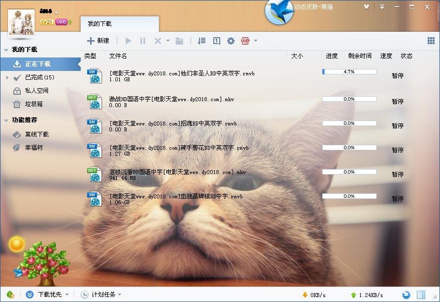 迅雷7.9.9 4578无法安装幸福树，总是在安装到99%时就提示安装失败，让重试，可结果还是一样。