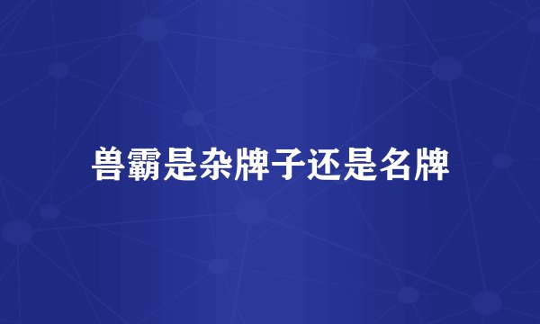 兽霸是杂牌子还是名牌