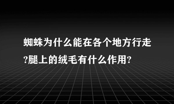 蜘蛛为什么能在各个地方行走?腿上的绒毛有什么作用?