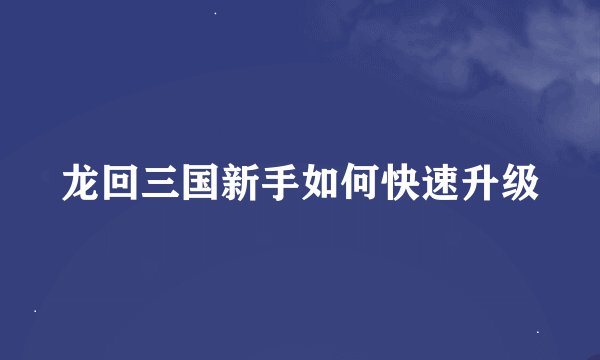 龙回三国新手如何快速升级