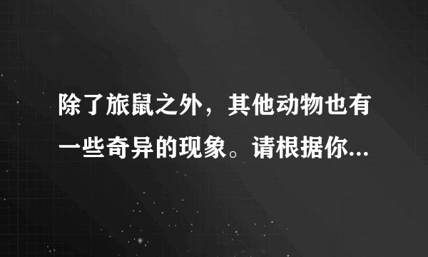 除了旅鼠之外，其他动物也有一些奇异的现象。请根据你的观察和了解，说明某种动物奇异的表现及其原因 300